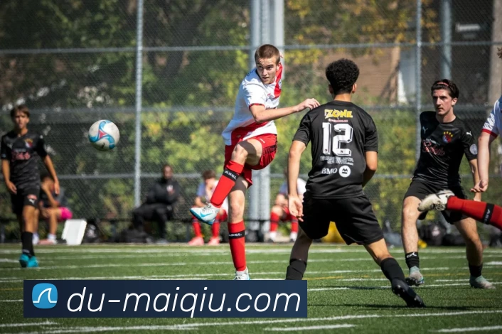 足球买球APP下载平台生态图