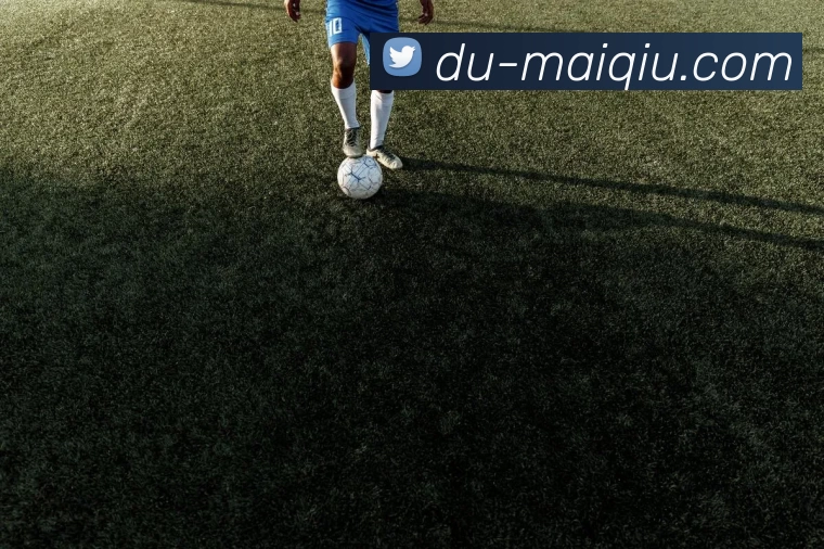 足球买球APP下载全站App